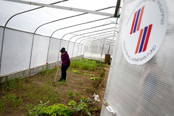 Hayastan All-Armenian Fund has launched the third phase of its greenhouse program in 10 communities of Armenia’s Tavush Region.